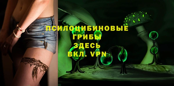 ПСИЛОЦИБИНОВЫЕ ГРИБЫ Козловка