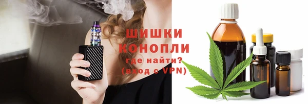 ПСИЛОЦИБИНОВЫЕ ГРИБЫ Козловка