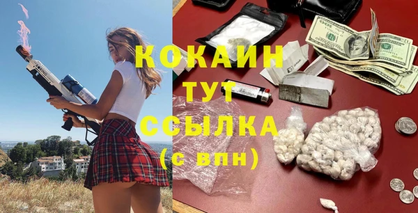 ПСИЛОЦИБИНОВЫЕ ГРИБЫ Козловка