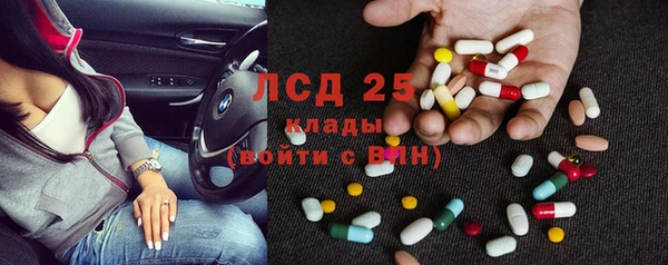 ПСИЛОЦИБИНОВЫЕ ГРИБЫ Козловка