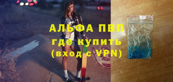 ПСИЛОЦИБИНОВЫЕ ГРИБЫ Козловка