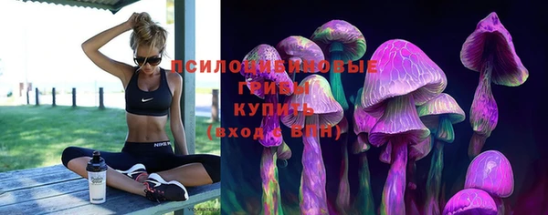 трава Кодинск