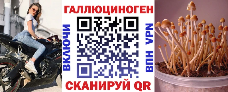 Купить закладки Воркута Галлюциногенные грибы Cubensis